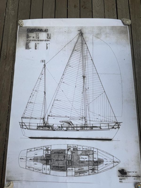 De Vries Fortuna 41