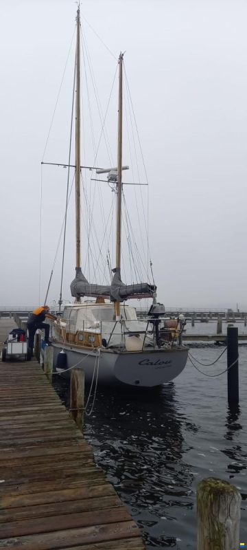 De Vries Fortuna 41