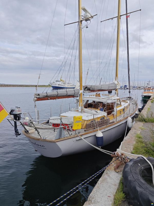 De Vries Fortuna 41