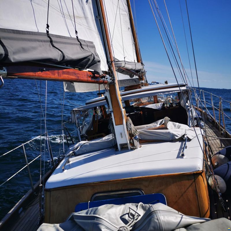 De Vries Fortuna 41