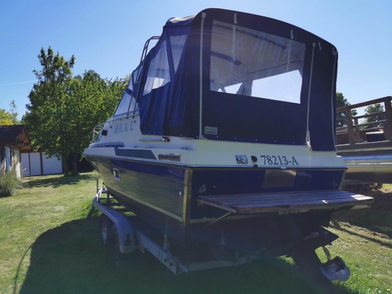 Regal Ambasserdor 245 xl