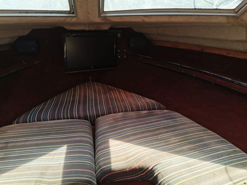 Regal Ambasserdor 245 xl