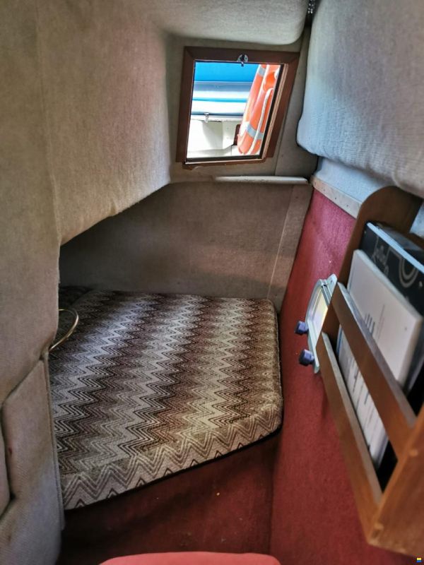 Regal Ambasserdor 245 xl