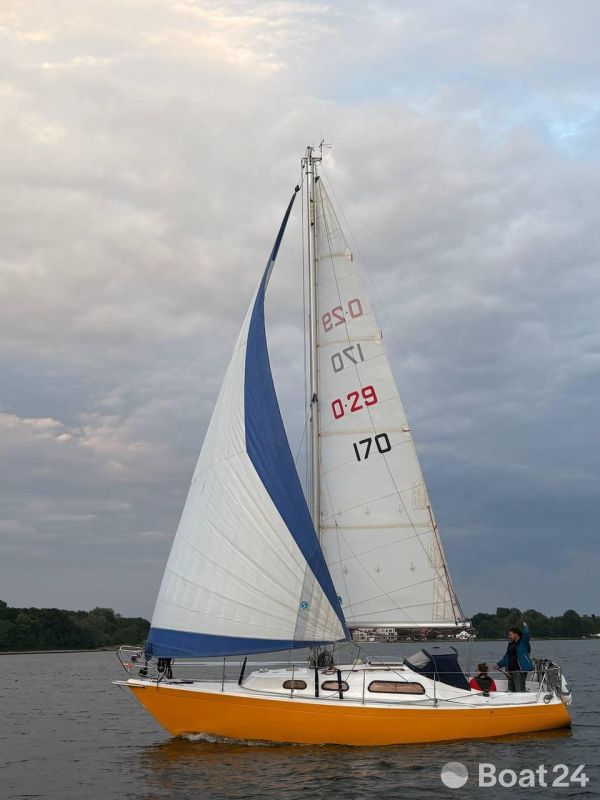Artekno Ohlson 29