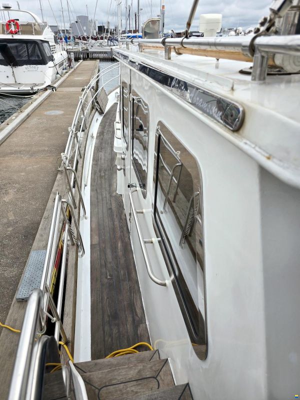 Spinosa 43