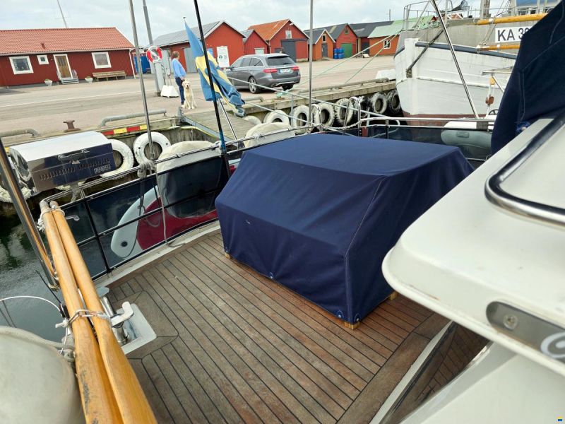 Spinosa 43