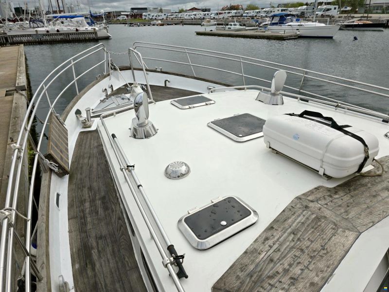 Spinosa 43