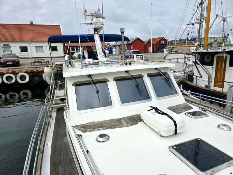 Spinosa 43