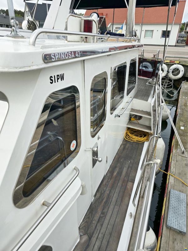 Spinosa 43
