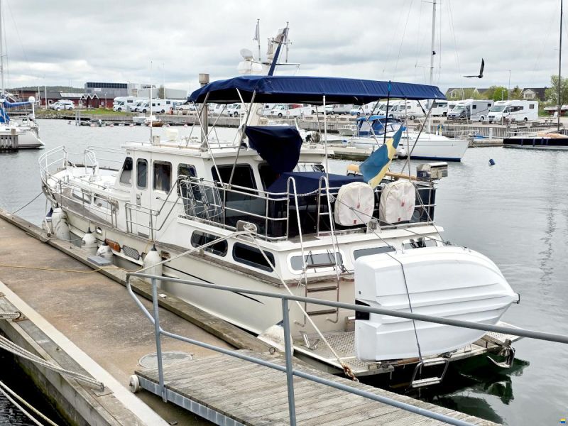 Spinosa 43
