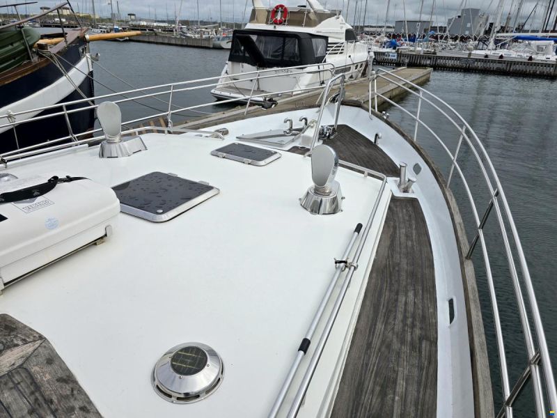 Spinosa 43
