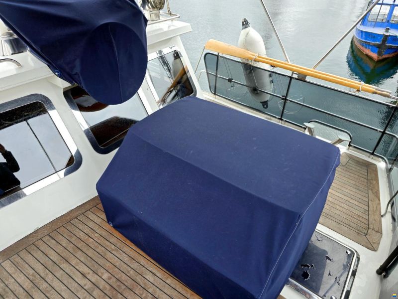 Spinosa 43