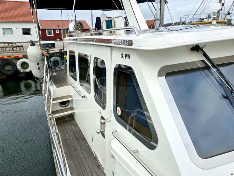 Spinosa 43