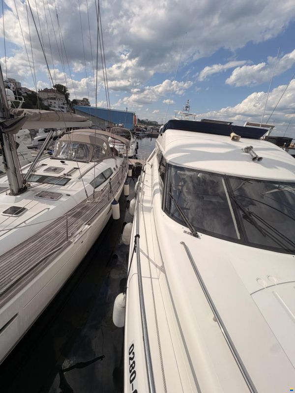Princess 50
