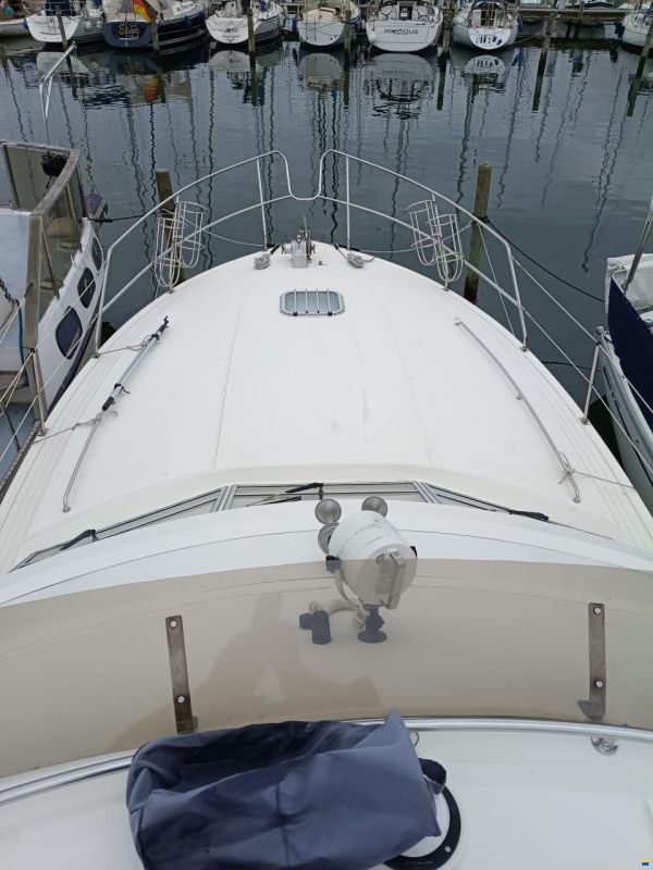 Princess 35