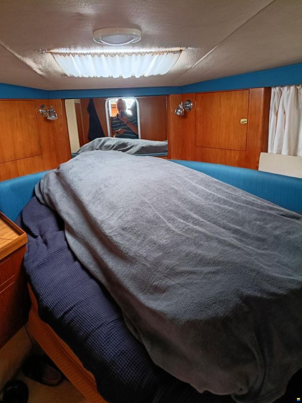 Princess 35