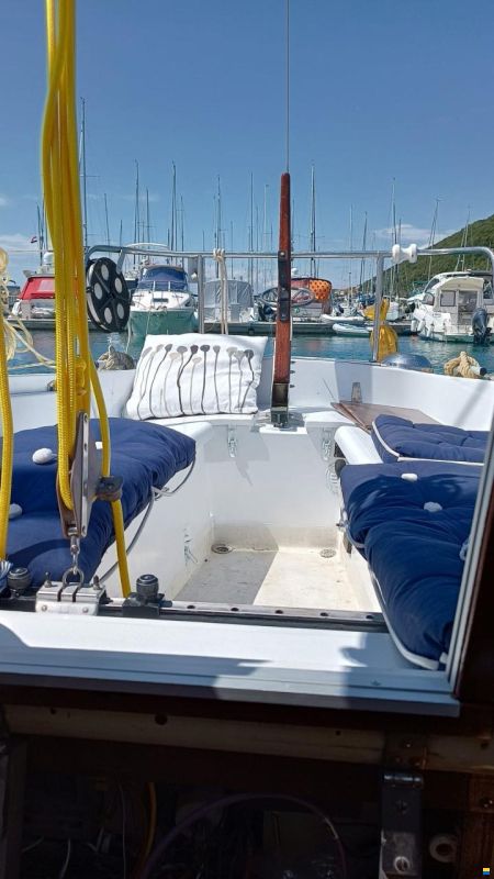 Albin 79