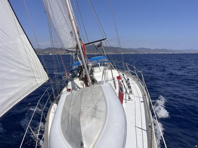 Aphrodite 42