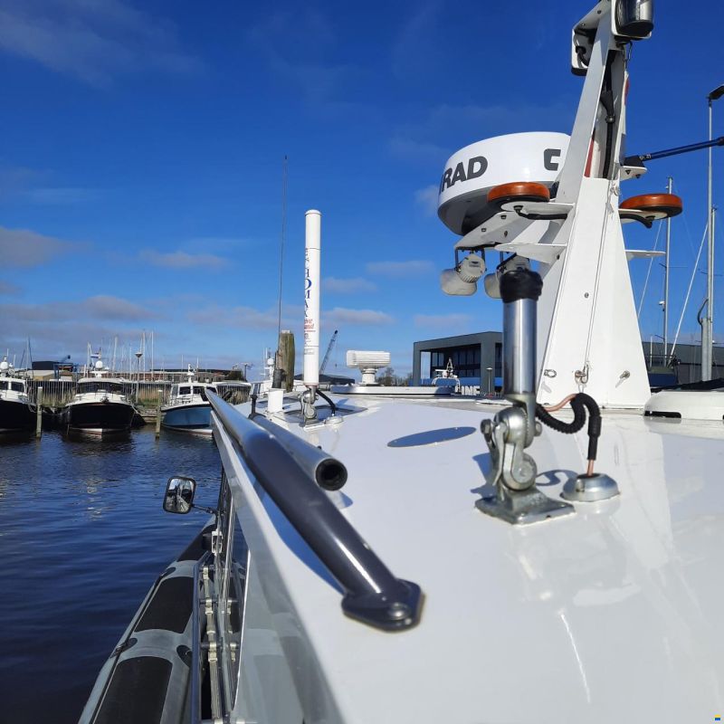 Diesel Rib
