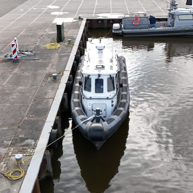 Diesel Rib