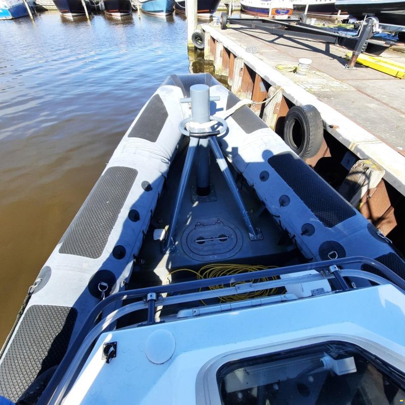 Diesel Rib