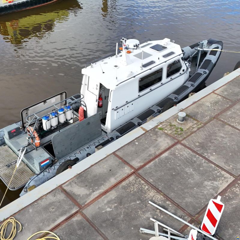 Diesel Rib