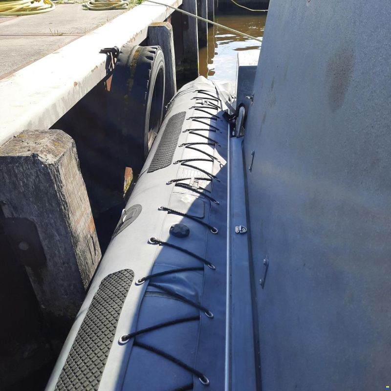Diesel Rib