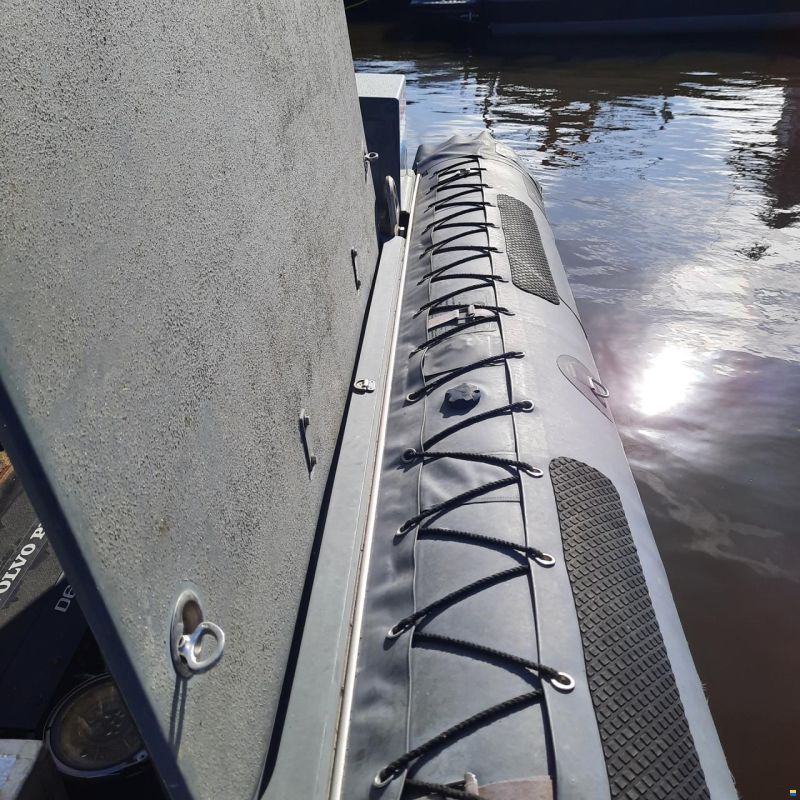 Diesel Rib