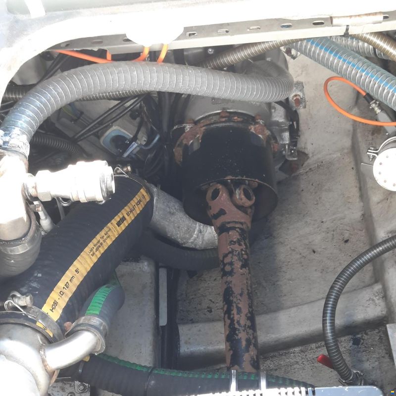 Diesel Rib