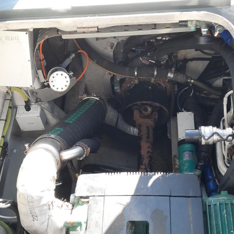 Diesel Rib