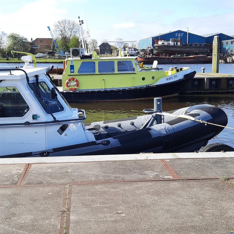 Diesel Rib