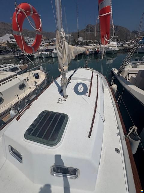 Lla&uuml;t Mallorquin Maybca 26