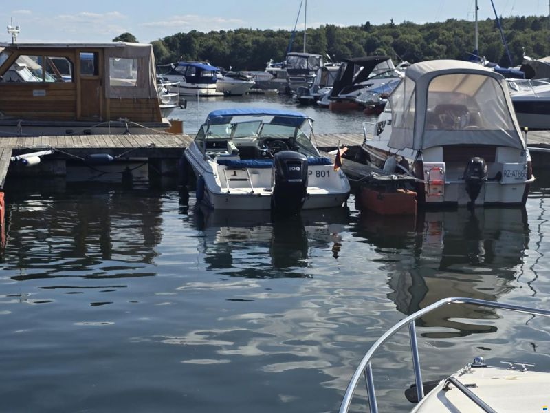 Sea Ray 160 BR AB