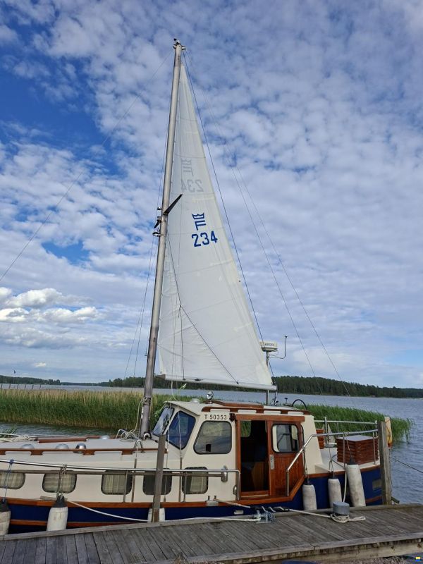 Finnsaurus 34