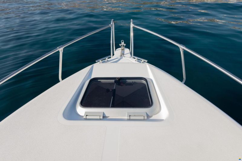 Drago 550