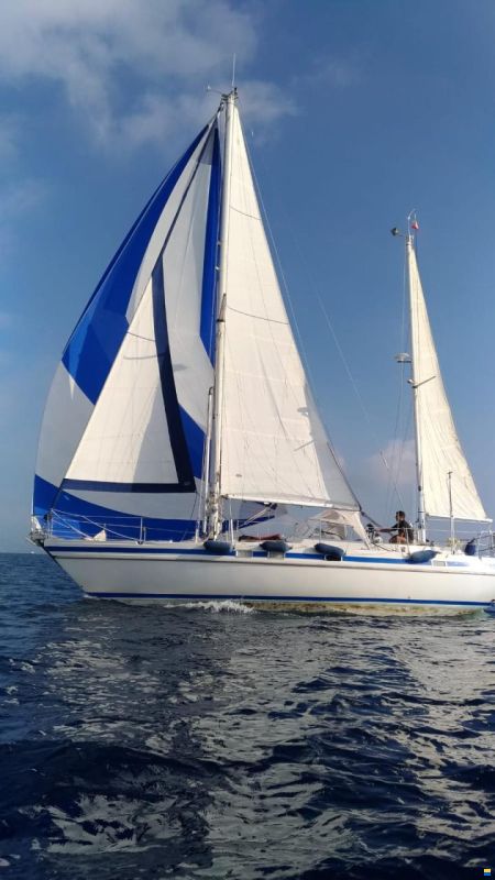 Contest 38S-Ketch