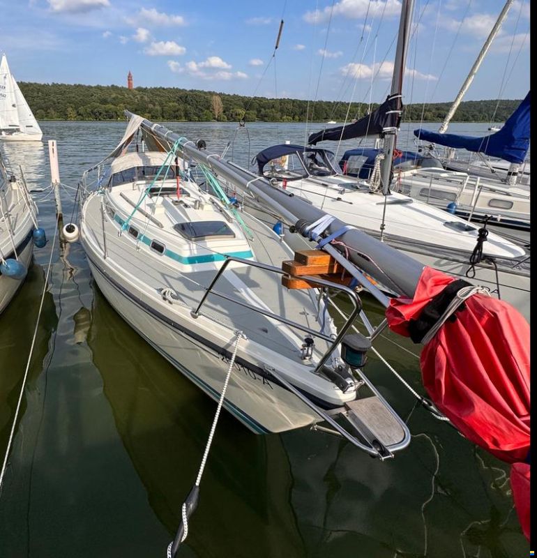 LM Mermaid 290