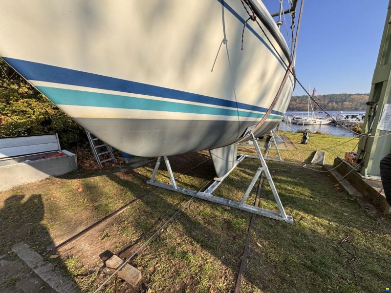 LM Mermaid 290