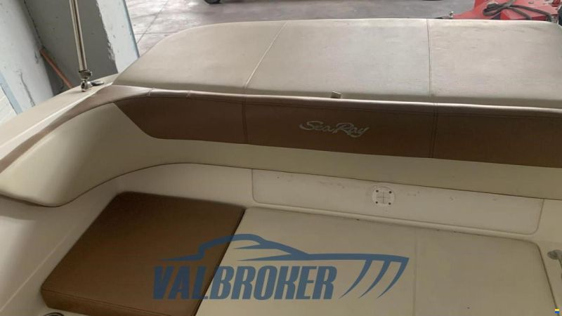 Sea Ray 190 SPX
