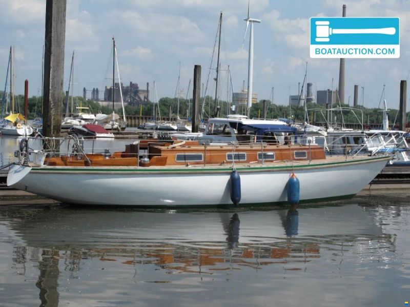 Narval 38