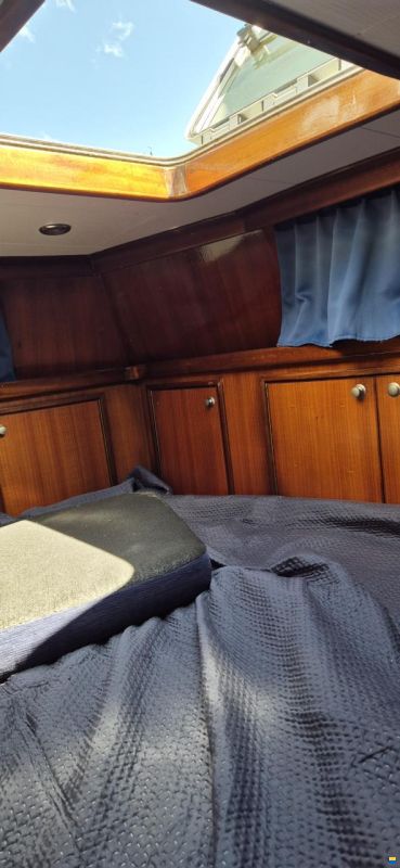 PROCHARTER P4