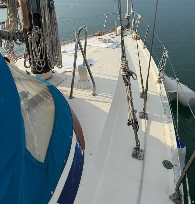 RPD Nelson 46