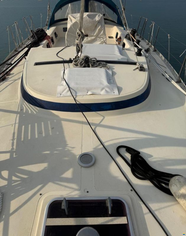 RPD Nelson 46