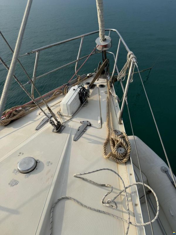 RPD Nelson 46
