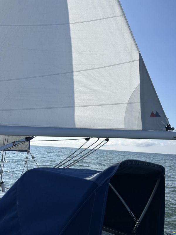 Motiva 42