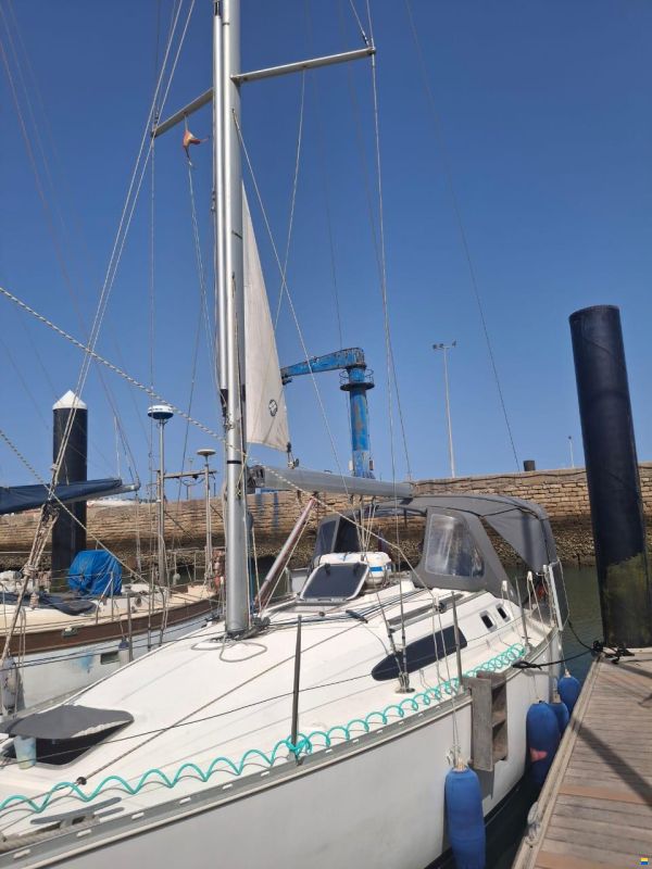 Jeanneau 34.2