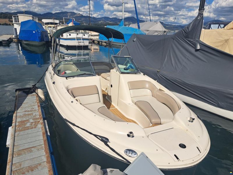 Sea Ray 190 SD
