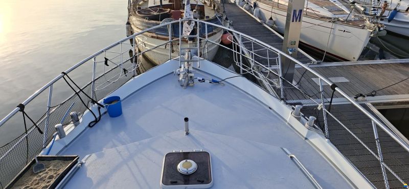 Vanderheijden Dynamic 1500 vedette hollandaise