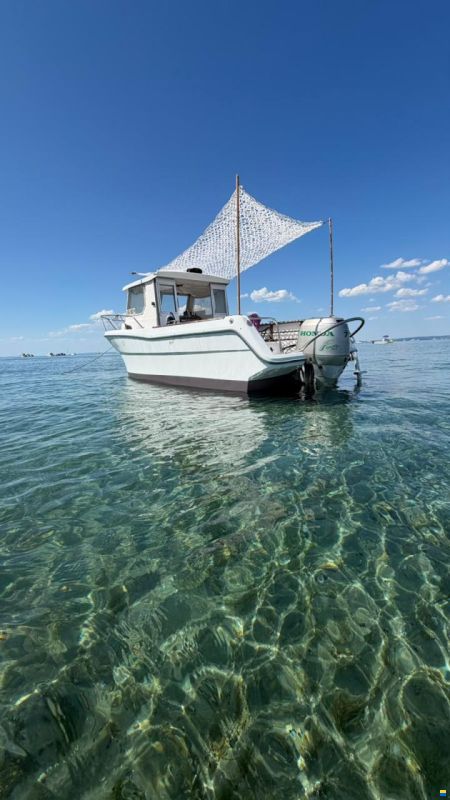 Ocqueteau Fish 610
