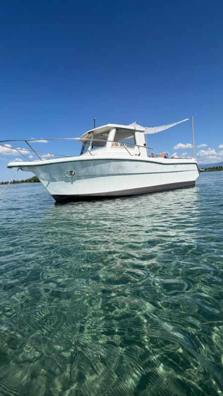 Ocqueteau Fish 610
